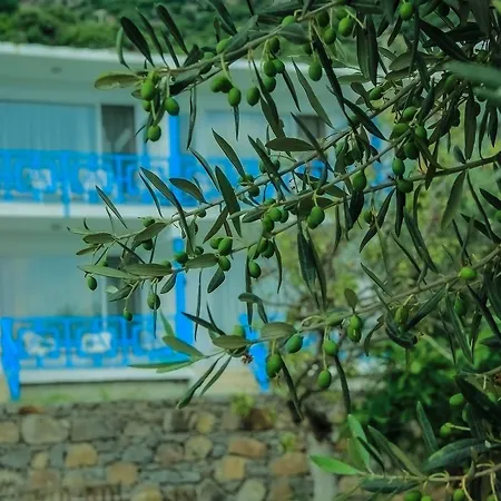 Hotel Assos Ayan 2*