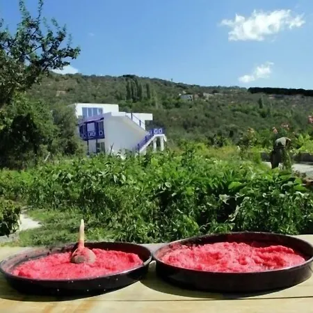 Assos Ayan