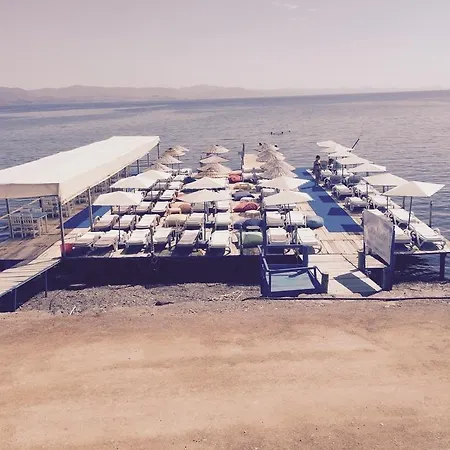 Assos Ayan 2*