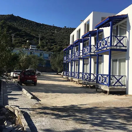 Assos Ayan