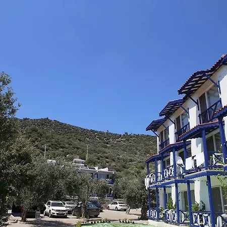 Assos Ayan