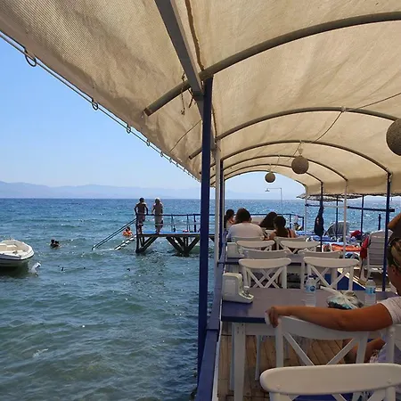 Assos Ayan
