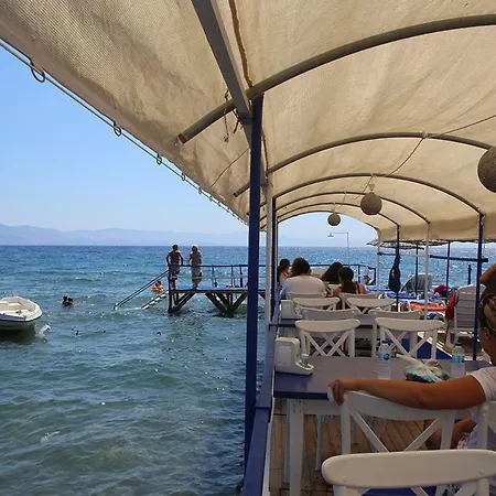 Assos Ayan