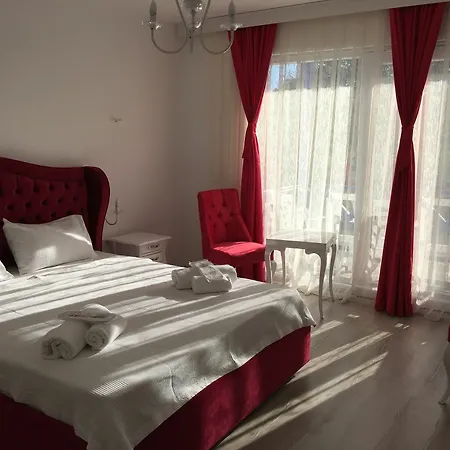 Assos Ayan Hotel 2*