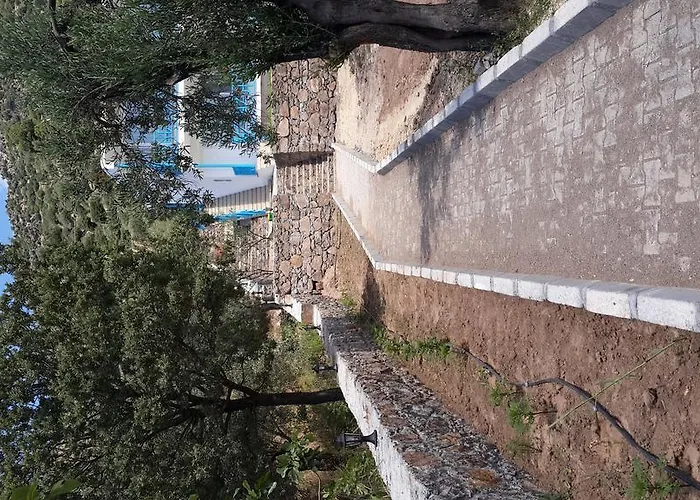 מלון Assos Ayan Balabanli