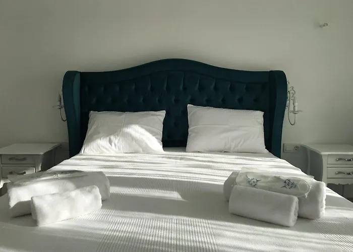 מלון Assos Ayan Balabanli